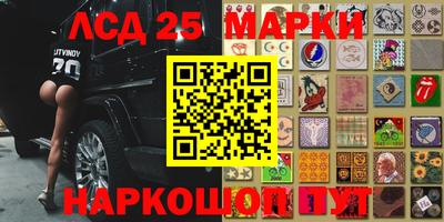прущие грибы Донецк