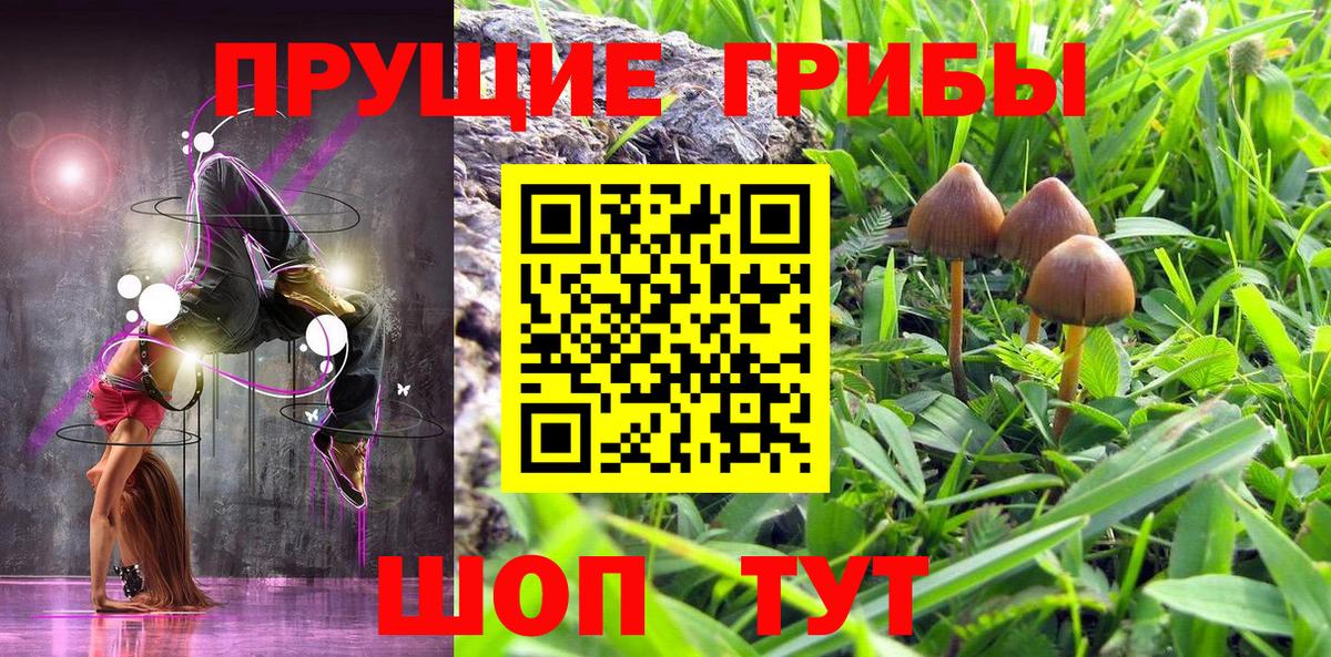 Галлюциногенные грибы GOLDEN TEACHER  Галлюциногенные грибы прущие грибы  Вход с VPN  Ипатово 
