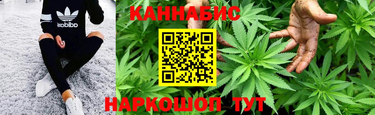 Шишки марихуана конопля  Каннабис конопля  Ипатово  Шишки марихуана планчик  Вход с VPN 